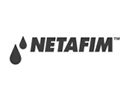 Neta